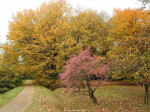 Arboretum Poortbulten